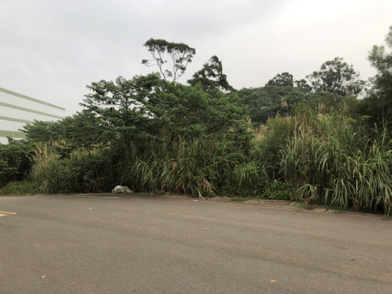 桃園都計田(以申請運動場館使用)工業地出售，桃園區茄苳路附近工業地出售