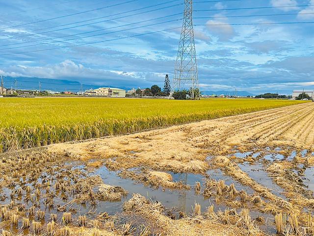  「農地規劃新時代！雲林跟進屏東，國土計畫法背後的重大改變」 