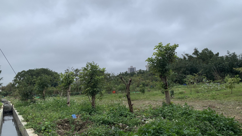  桃園綠線捷運G12徵收田農地出售，桃園區富國路附近農地出售 